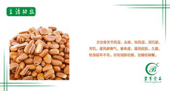 品味自然饋贈 碧享食品250g罐裝松子，開啟健康零食新風尚